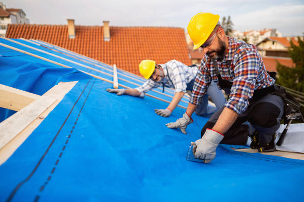 Best Emergency Roof Repair  in New Brighton, PA